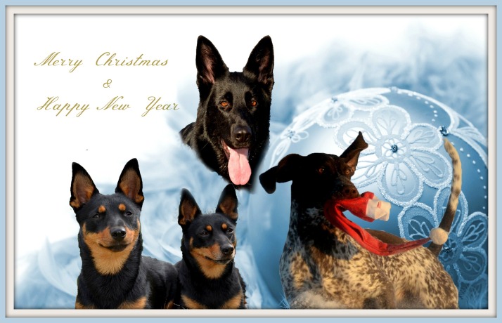 julekort-med-alle-hundene med ramme